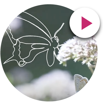 Video références clients de vidéostorytelling