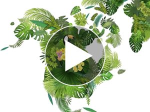 exemple-video-vœux-2023-originale-neologis-videostorytelling