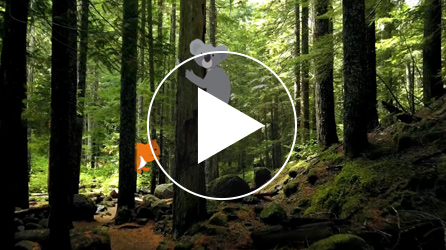 exemple-carte-voeux-video-nature-neologis-videostorytelling