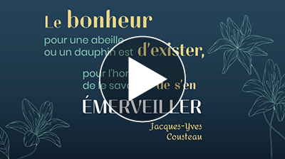carte-voeux-vidéo-nature-citation-beauté-videostorytelling