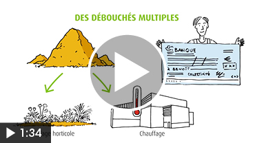 video-draw-my-life-inobioma-chambre-dagriculture-normandie-agence-videostorytelling