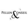 agence-storytelling-vidéo-logo-pellen-conseil-videostorytelling