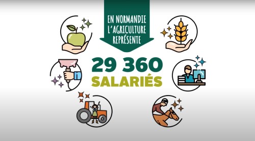 exemple-creation-infographie-animee-motion-chiffres-cles-agriculture-videostorytelling-neologis