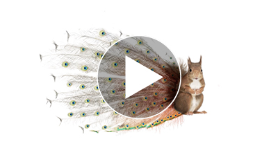 exemple-carte-vœux-originale-entreprise-caisse-epargne-videostorytelling