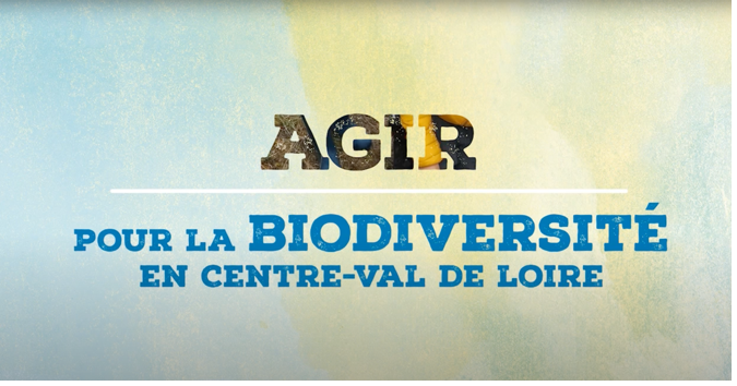 exemple-video-incitation-action-biodiversite-videostorytelling-neologis