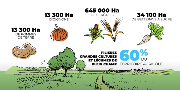 draw-my-life-agriculture-chiffres-beauce-néologis-vidéostorytelling