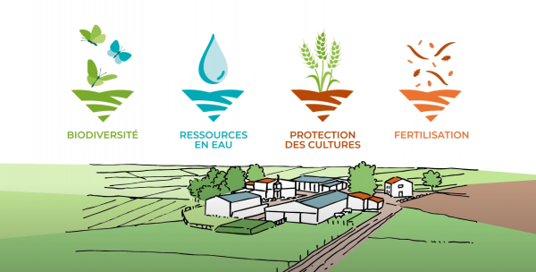 draw-my-life-storytelling-agriculture-environement-néologis-vidéostorytelling