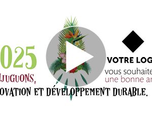 exemple-carte-vœux-innovation-durable-videostorytelling