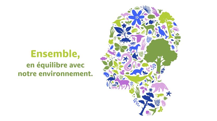 FX16 carte de vœux originale écologie