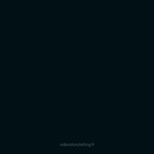 GIF ST4 - Bonne année 2026 personnalisé avec votre logo - 240,00 € HT seulement !