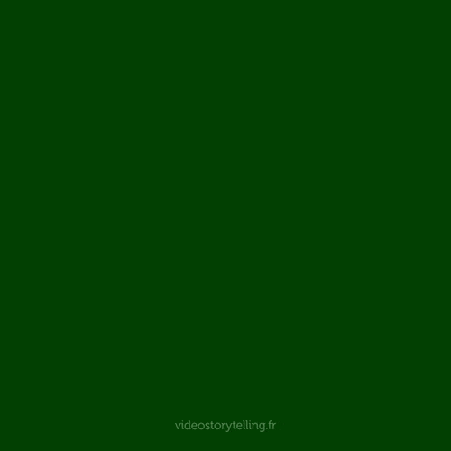 GIF ST5 - Bonne année 2025 personnalisé avec votre logo - 240,00 € HT seulement !