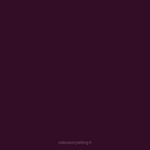 GIF ST7 - Bonne année 2026 personnalisé avec votre logo - 240,00 € HT seulement !