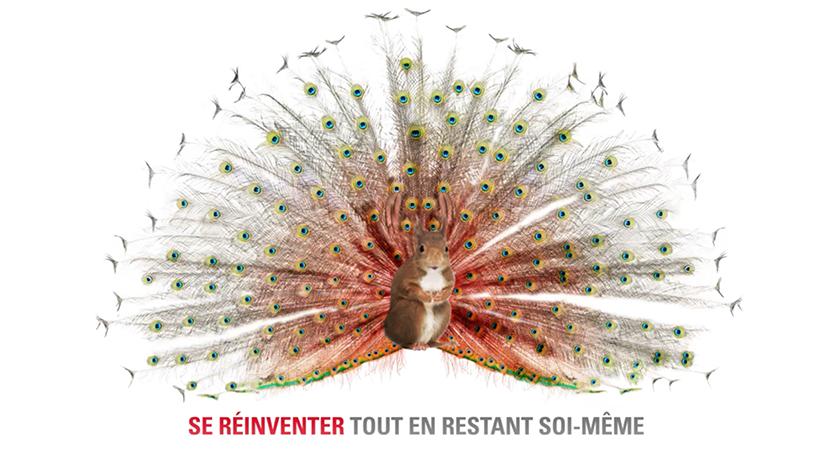 Carte de voeux sur mesure : originale et audacieuse !