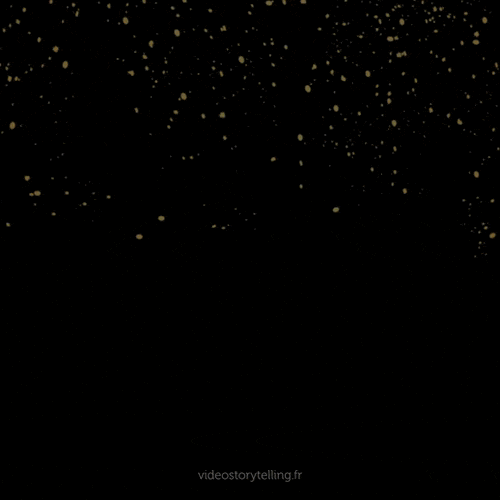 GIF ST11 - Bonne année 2026 personnalisé avec votre logo - 240,00 € HT seulement !