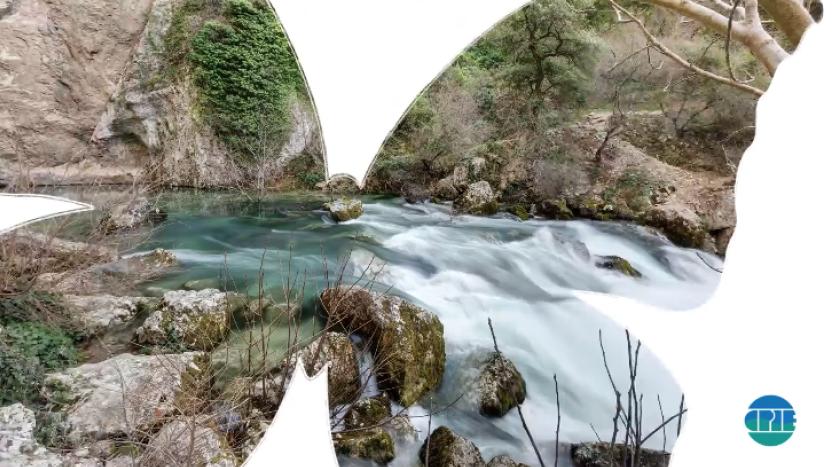 Motion design avec photos : l’exemple réussi de l’URCPIE