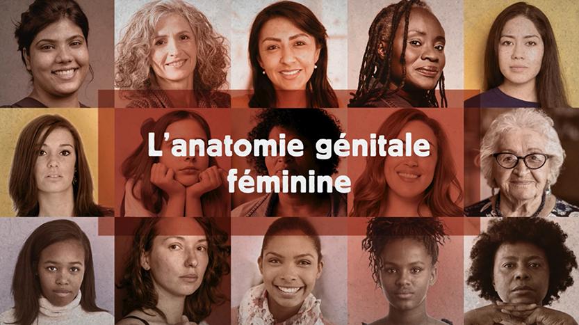 L’animation 3D pour explorer en vidéo l’appareil génital féminin