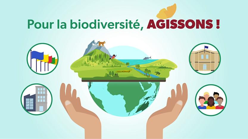 Les secrets d’un projet motion design réussi !