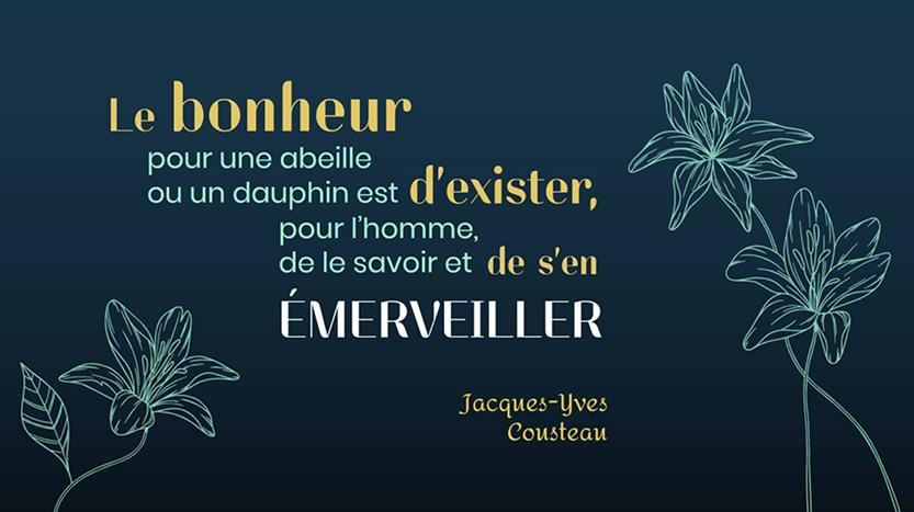 ST44 voeux citation émerveillement