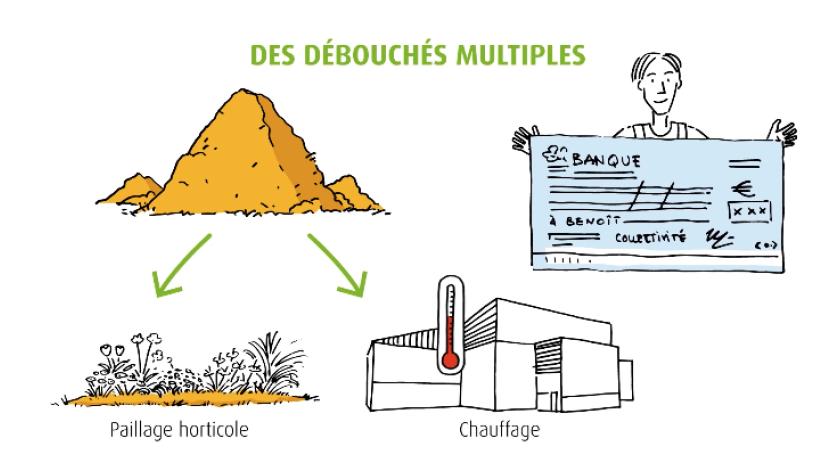 Vidéo draw my life pour la Chambre d’agriculture de Normandie