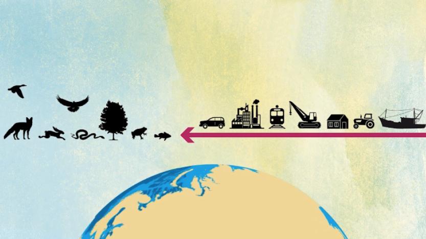 Le storytelling vidéo pour communiquer, sensibiliser et convaincre !