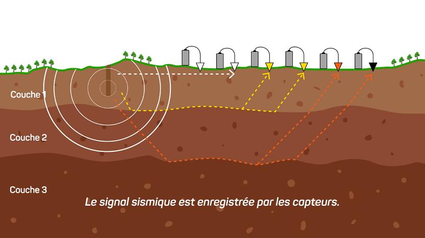 L’infographie animée à but pédagogique, une spécialité de l’agence
