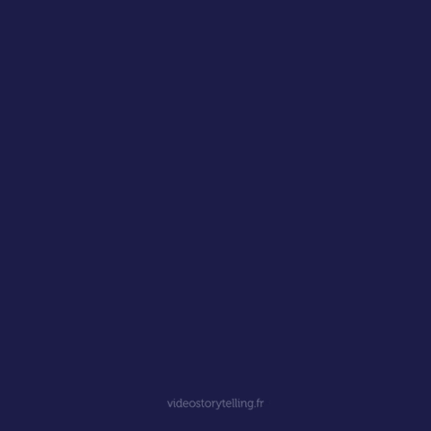 GIF ST3 - Bonne année 2027 personnalisé avec votre logo - 240,00 € HT seulement !