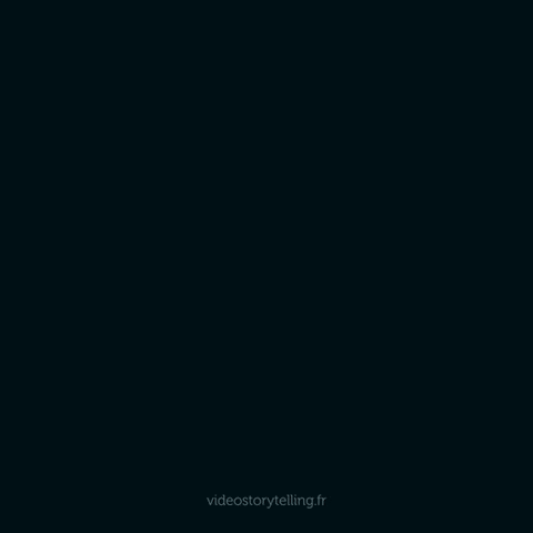GIF ST4 - Bonne année 2027 personnalisé avec votre logo - 240,00 € HT seulement !