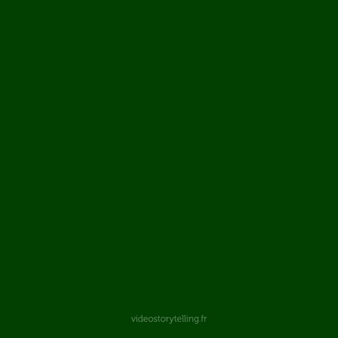 GIF ST5 - Bonne année 2027 personnalisé avec votre logo - 240,00 € HT seulement !