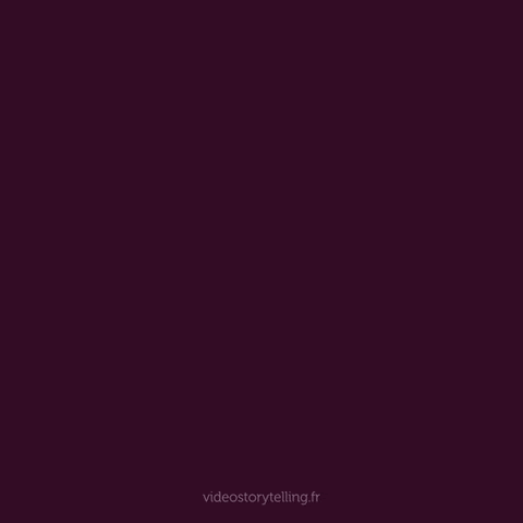 GIF ST7 - Bonne année 2027 personnalisé avec votre logo - 240,00 € HT seulement !