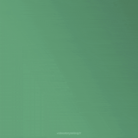 GIF ST10 - Bonne année 2027 personnalisé avec votre logo - 240,00 € HT seulement !