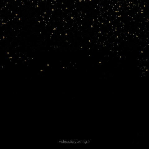 GIF ST11 - Bonne année 2027 personnalisé avec votre logo - 240,00 € HT seulement !